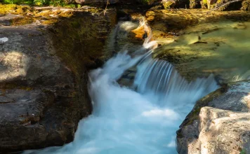 Los beneficios de la gratitud