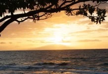 Purificados para el servicio