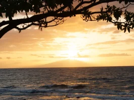 Purificados para el servicio