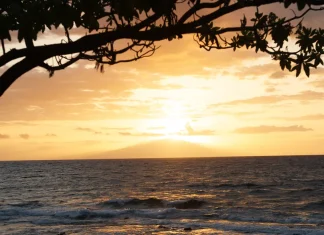 Purificados para el servicio