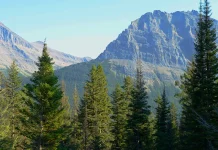 Cómo construir amistades duraderas