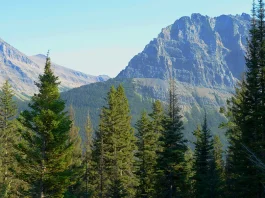 Cómo construir amistades duraderas