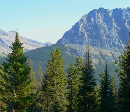 Cómo construir amistades duraderas