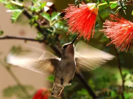 Cómo recordar la bondad de Dios