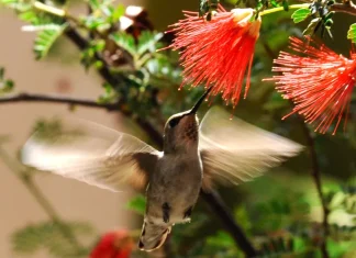 Cómo recordar la bondad de Dios