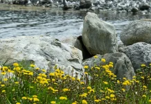 Cristo entiende nuestro corazón