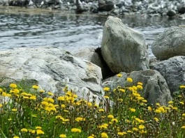 Cristo entiende nuestro corazón