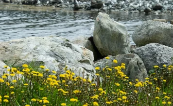 Cristo entiende nuestro corazón