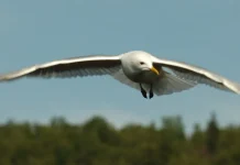 Puede confiar en Dios