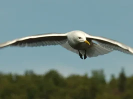 Puede confiar en Dios