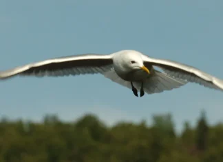 Puede confiar en Dios