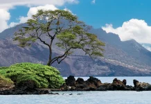 El llamado de Dios al arrepentimiento