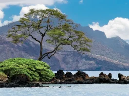 El llamado de Dios al arrepentimiento