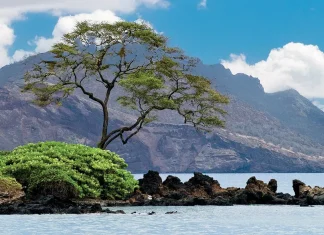 El llamado de Dios al arrepentimiento