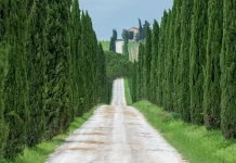 Características de un espíritu generoso
