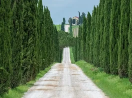 Características de un espíritu generoso