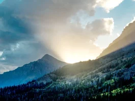 Nuestra labor de amor