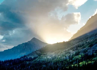 Nuestra labor de amor