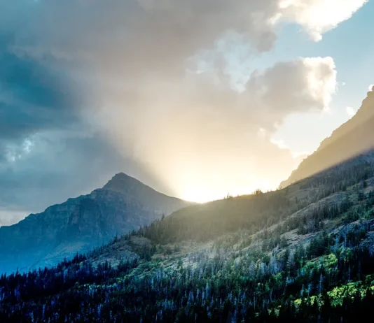 Nuestra labor de amor