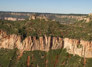 El nuevo nacimiento: La parte de Dios