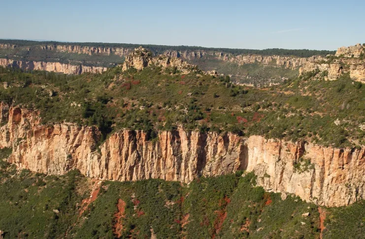 El nuevo nacimiento: La parte de Dios