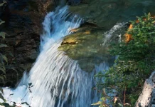 El nuevo nacimiento: ¿Por qué?