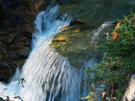 El nuevo nacimiento: ¿Por qué?