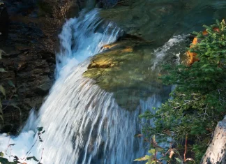 El nuevo nacimiento: ¿Por qué?