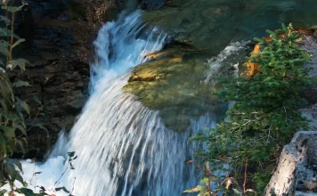 El nuevo nacimiento: ¿Por qué?