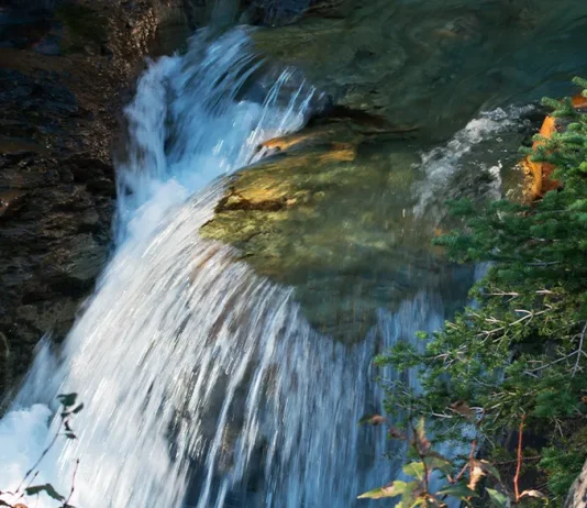 El nuevo nacimiento: ¿Por qué?