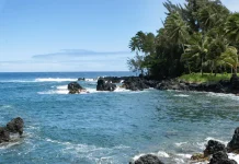 El valor del discernimiento