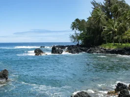 El valor del discernimiento