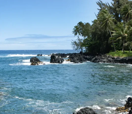 El valor del discernimiento