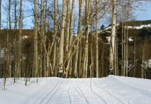 La clave para escuchar a Dios