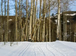 La clave para escuchar a Dios