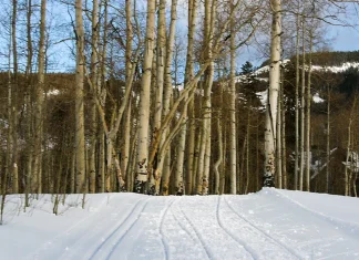 La clave para escuchar a Dios