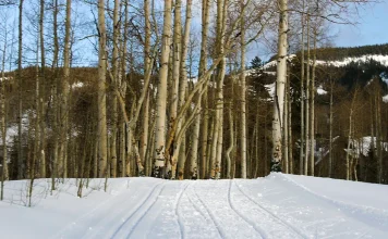 La clave para escuchar a Dios