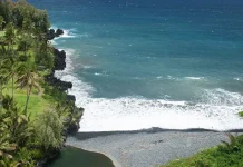 Necesidades insatisfechas