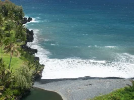 Necesidades insatisfechas