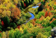 Oraciones de gratitud