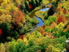 Oraciones de gratitud