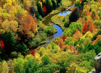 Oraciones de gratitud