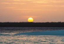 Visión sin límites