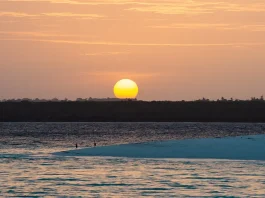 Visión sin límites