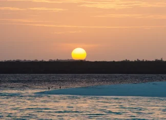 Visión sin límites