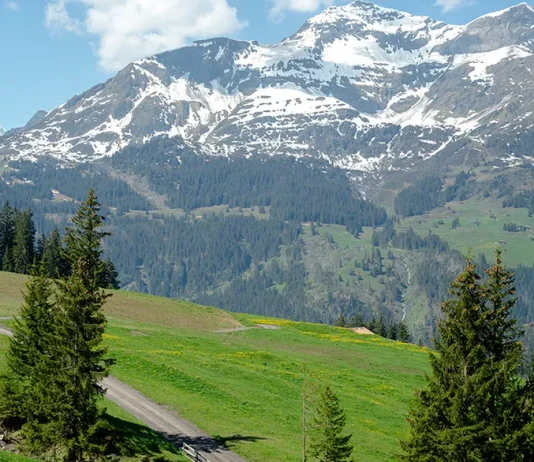 Vivir por encima de nuestras circunstancias