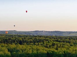 La paradoja de la persecución
