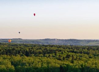 La paradoja de la persecución