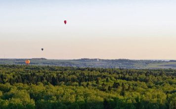 La paradoja de la persecución