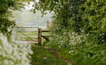 De importancia primordial